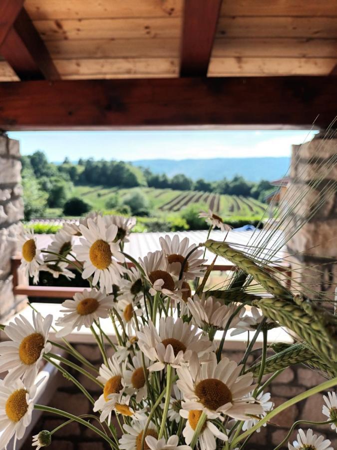 Guesthouse Marija Potpican Bagian luar foto